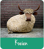 Koeien